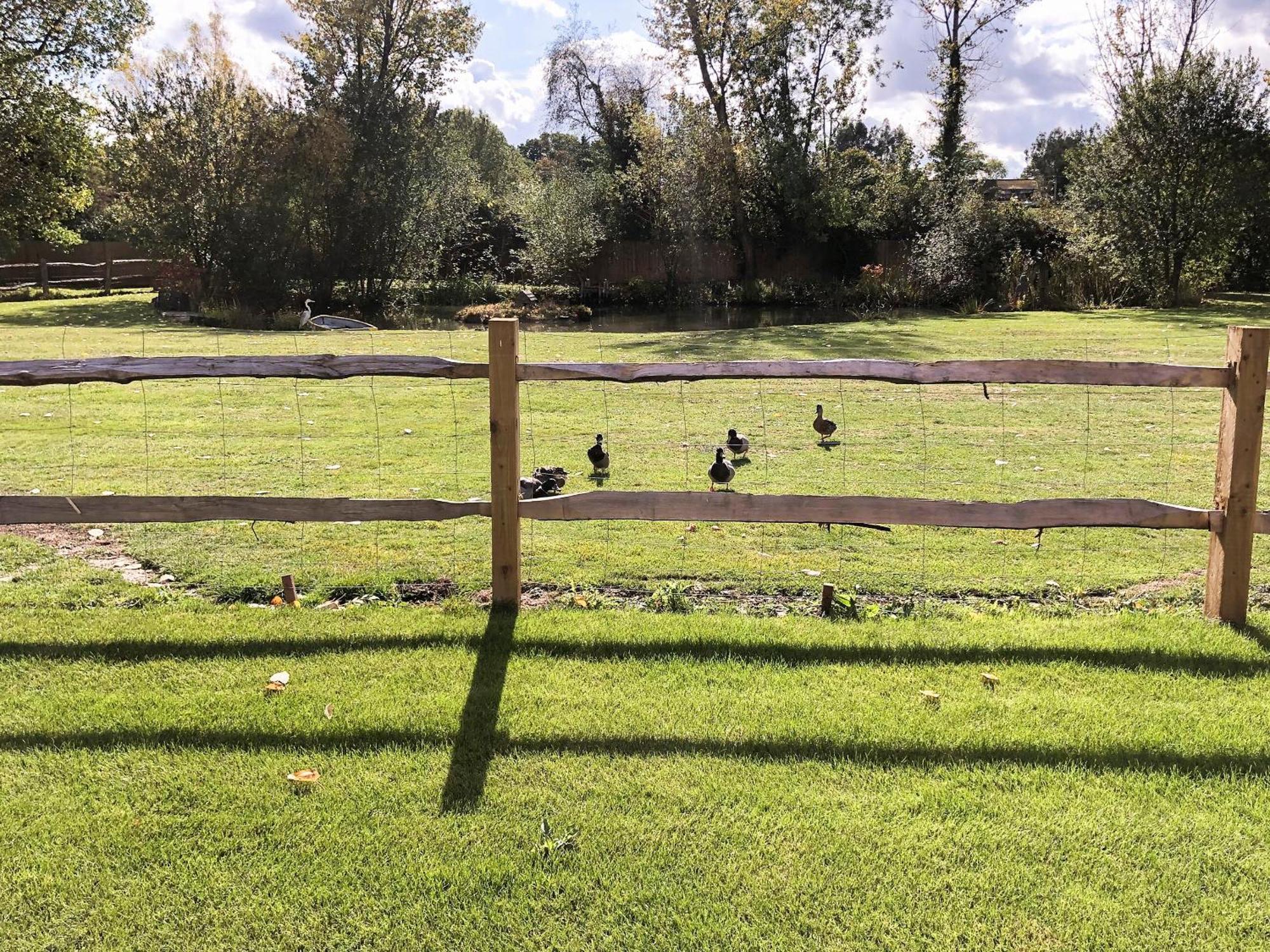 Well Cottage Itchingfield Esterno foto